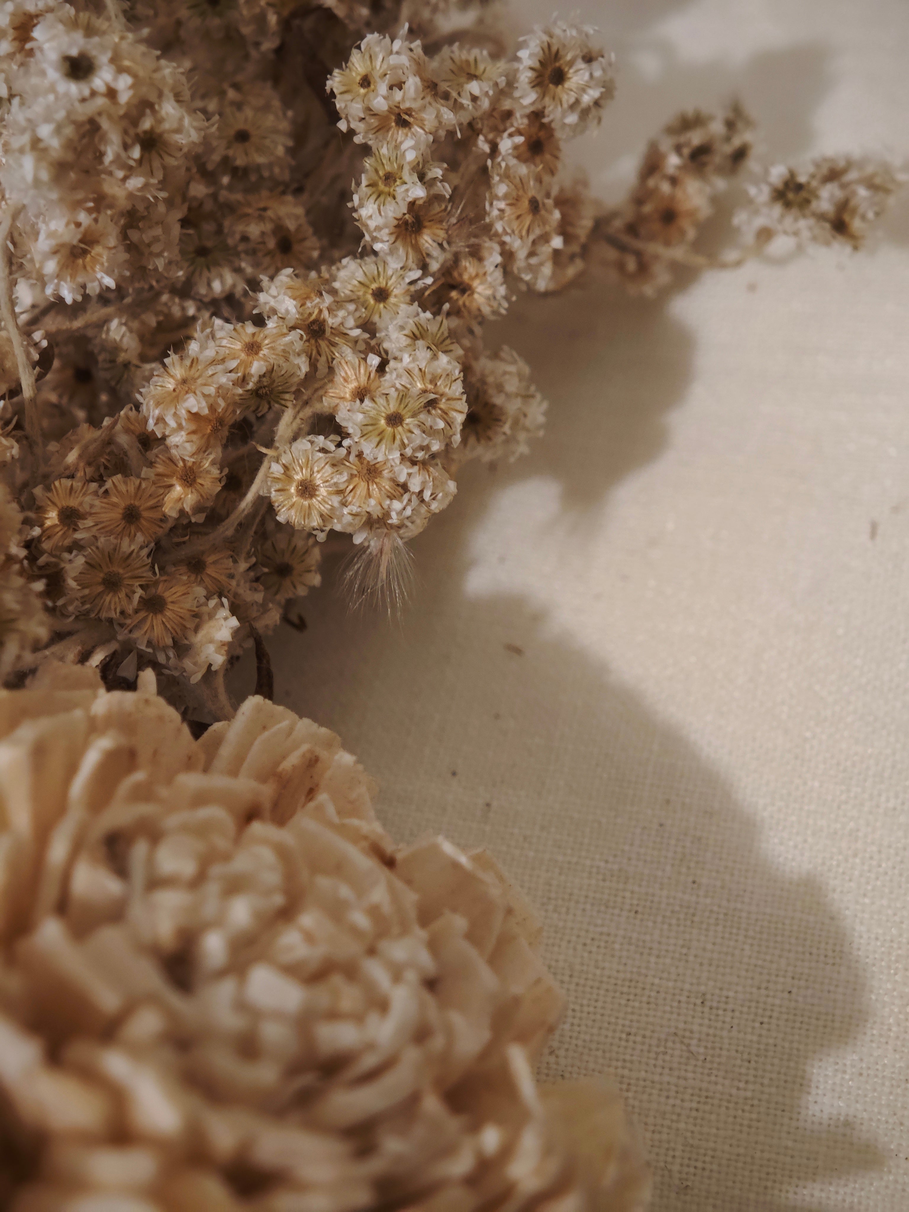 Boutique collection - Weawy